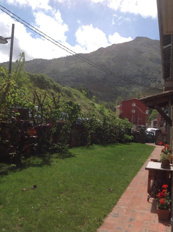 Casa De La Tila Lägenhet Arenas De Cabrales Exteriör bild
